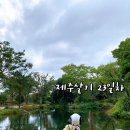 제주 한달살기_23일차(표선해수욕장,옵써빵집)