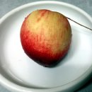 보섭농장 이미지