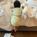 달욱농장 | 14개월 아기와 목포-고창 1박 2일 여행 후기(상하농원)