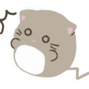 코스모투어 네이버블로그