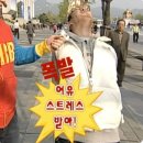 샤인광고 이미지