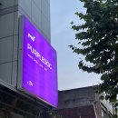 스타일독 | 송파 와인바 퍼플독 / 와인 테이스팅 후기