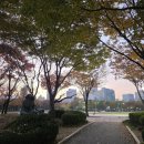 평촌중앙공원 테니스장 앞 이미지