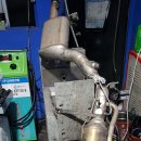 카데렐라 이미지