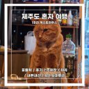 코코스협재 | [제주도 혼자 여행] 1미리 게스트하우스 :: 포틀럭 / 후기 / 위치 / 내돈내산 / 주차장 / 4인 도미토리