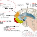 폰에 중독된 우리의 뇌 이미지