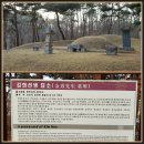 김희선생 묘소 이미지