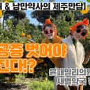 새별약국 이미지