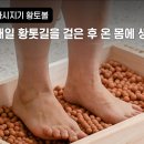 더밸런스치과의원 이미지