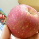 산애산과일농장
