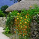 외암마을 이미지