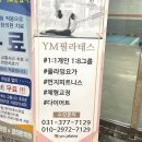 럽독 | (동탄필라테스) - YM필라테스
