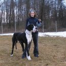 보디가드 이미지