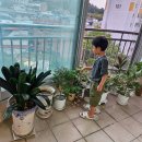 아이그루유치원 이미지