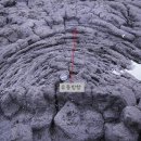 표선리-1 이미지