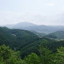 마전리 일대
