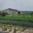 거목농장 이미지