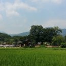 실상사앞 이미지