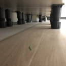 이뫼마루 이미지