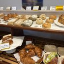 꽃피는4월밀익는5월 이미지