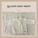 임신 14주차~16주차:: 태교하기 백화점문센등록, 피아노치기, 초음파사진첩꾸미기 등