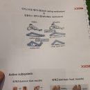 KOREA PT(코리아 피티) 이미지