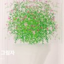 씨엘갤러리 이미지