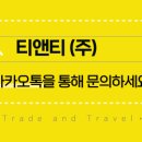 디스코포차 이미지