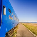 장사해수욕장 이미지