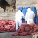 유수정농장 이미지