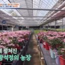 황해농장 네이버블로그