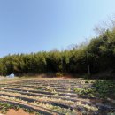 죽전태양광발전소 이미지