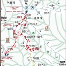 정상두농장 Daum카페