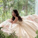 에이미쌤 | 💍W7-5) 하우스오브에이미 촬영 드레스 후기 ,불가리콜라보 풍성드레스, 메인라인