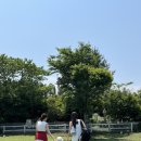 길갈농장 이미지