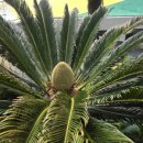 행운랜드 이미지