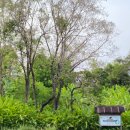 푸푸(POOPOO) 이미지