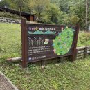 연화산 유아숲체험원 이미지