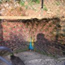 분토골농장 이미지