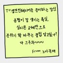 (주)노아건축 | 욕실 실리콘 곰팡이 방지하는 방법 &amp; 오래가는 실리콘 추천 (DIY 셀프인테리어 TIP)