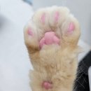 애니텔호텔 | [서울 도봉구 숙박,숙소] 가성비 호텔 이용객 리뷰 인기순위 TOP 5