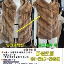 신세계모피세탁 이미지