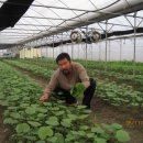 김창규농장 이미지