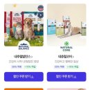 요세라코리아 이미지