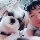 조은누리 | [유기농 애견사료]ANF 6 free 샐몬으로 바꿔 보았어요..