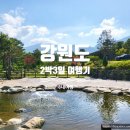 번양목장 | 켄싱턴 설악밸리 아이와 함께 산책하기 좋은 부대시설 (feat. 힐링해먹숲, 디어밸리 사슴농장, 양목장 등)