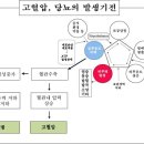 경희피레토한의원 이미지