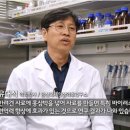 금산홍삼사료 이미지