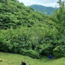 월하농장 이미지