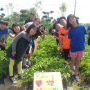 순천도사초등학교 이미지